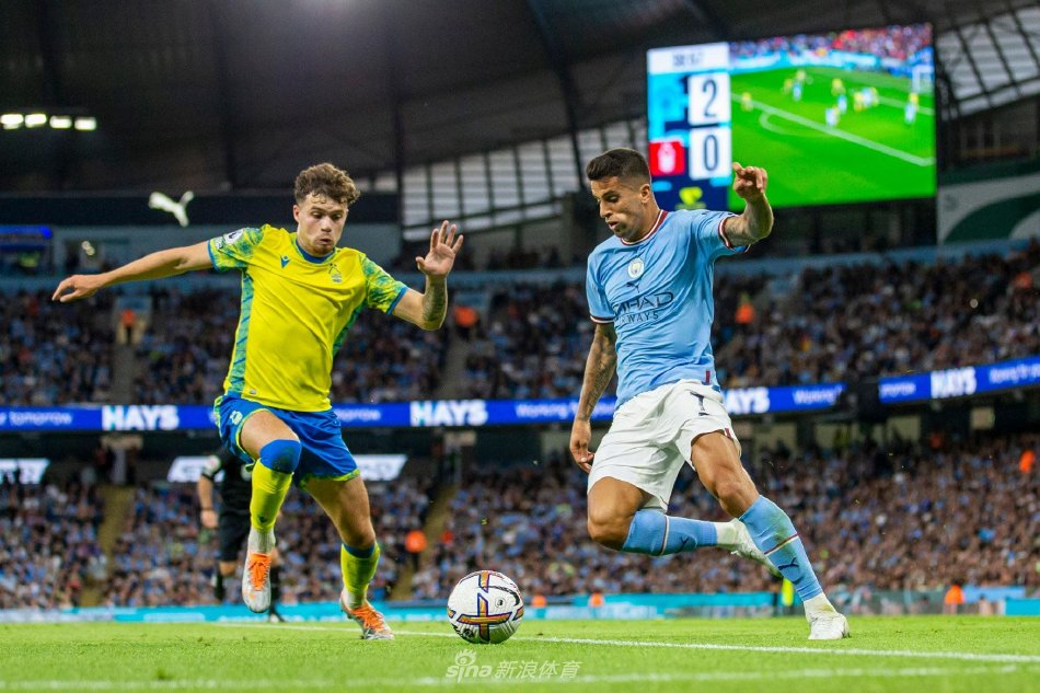 每位球员都 每位球员都